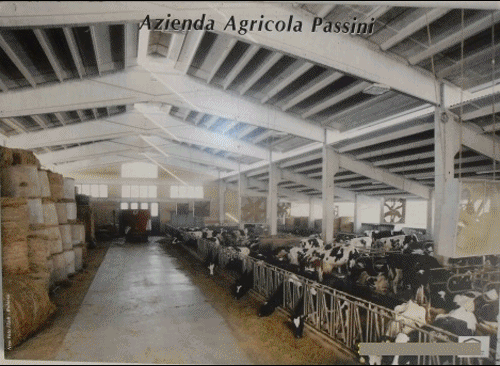 AziendaAgricolaPassini
